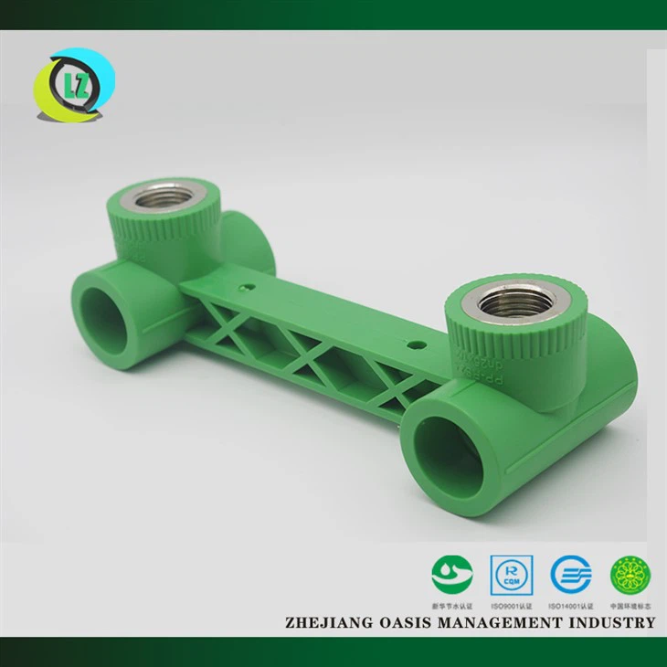 تي شيرت أنثى مشتركة